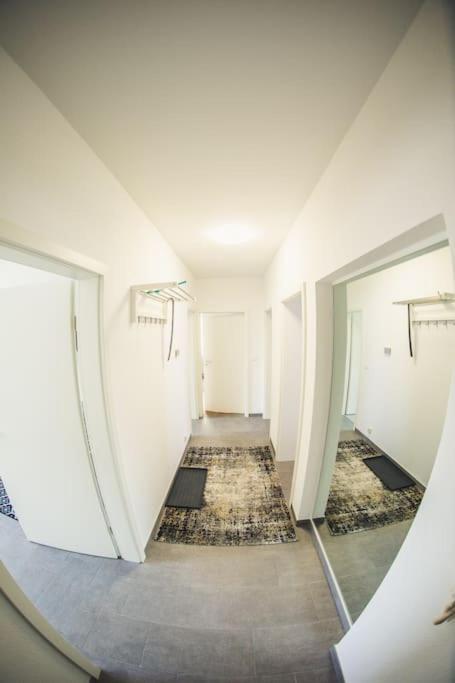 Wunderschoene Neue 3,5 Zimmerwohnung Naehe Kassel Bis 4 Erwachsene 3 Kinder Fuldatal Ngoại thất bức ảnh
